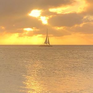 Meet your Posher, Patty